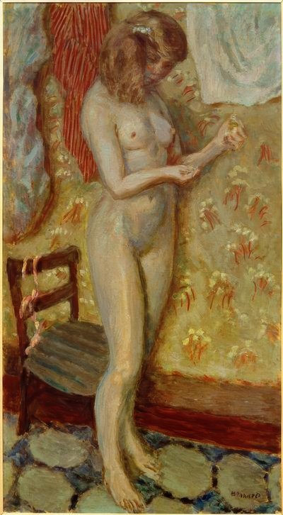 Akt im Licht oder Akt mit Nadel von Pierre Bonnard